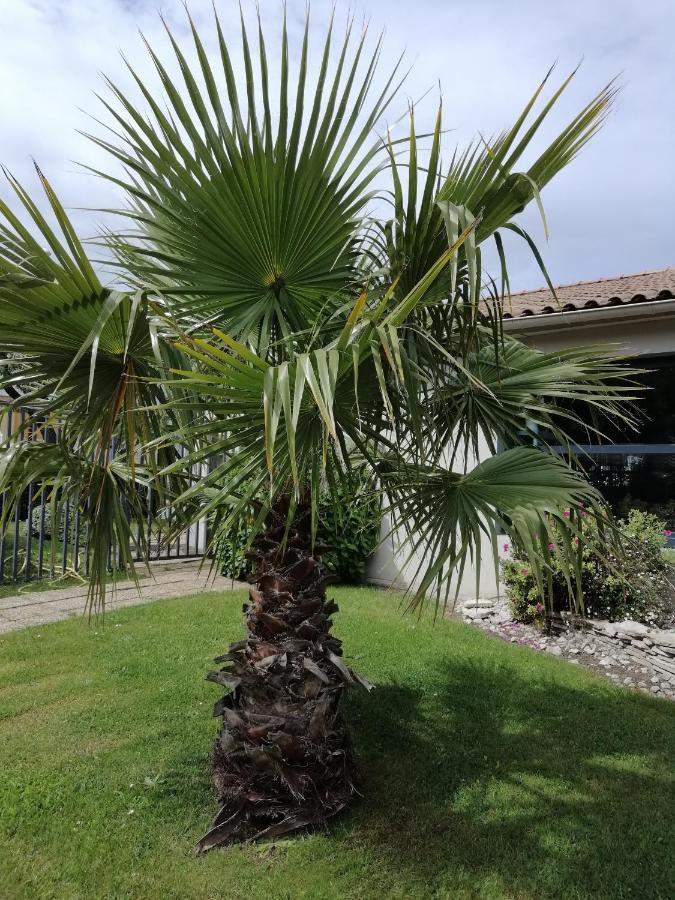 Hotel Kyriad Cap Sud Avignon Exterior foto